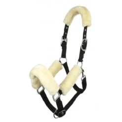 LeMieux Comfort Head Collar -Riding Horse Apparel Shop 0aa62e7e78fe7886d82d20bdc976fc81.image .1200x1200