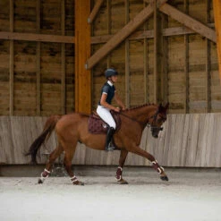 Shop Horze Graz Fetlock Boots In Rum & Raisin For Horses 17 Shop Horze Graz Fetlock Boots In Rum & Raisin For Horses -Riding Horse Apparel Shop 1 Horse T Horze Graz Fetlock Boots Rum Raisin 4