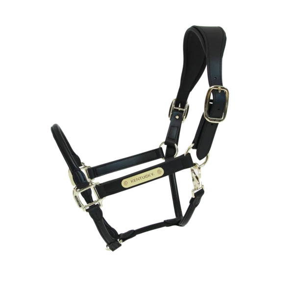 Kentucky Horsewear Anatomic Halter 6 Kentucky Horsewear Anatomic Halter - Image 4