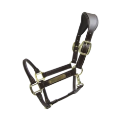 Kentucky Horsewear Anatomic Halter 8 Kentucky Horsewear Anatomic Halter -Riding Horse Apparel Shop 42513 05