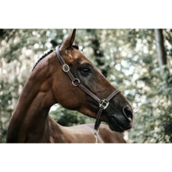 Kentucky Horsewear Leather Halter - Flexible 7 Kentucky Horsewear Leather Halter - Flexible -Riding Horse Apparel Shop 42712 05 1