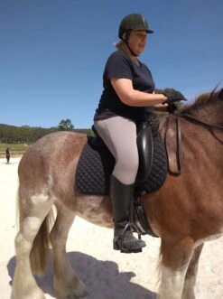 CoolMax Jodhpurs In Sizes 6 To 28, In Grey -Riding Horse Apparel Shop 44902187 1121836521330640 959127567984492544 n f9f7a9ad 959b 4429 ba76 c0b35b071fb3