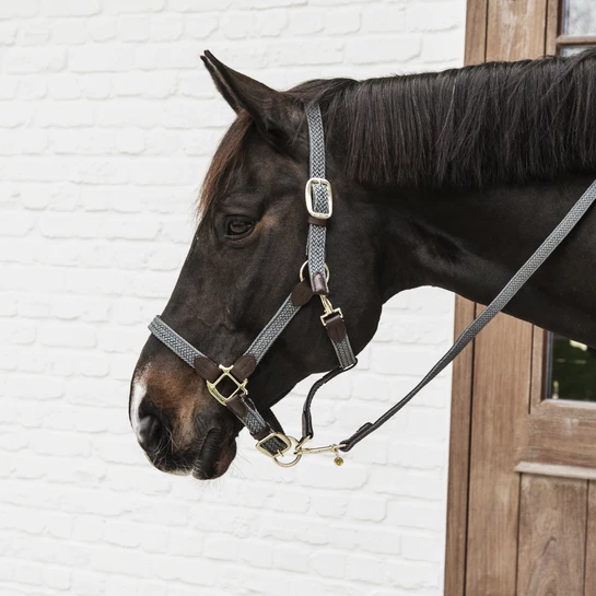 Kentucky Plaited Nylon Halter 3 Kentucky Plaited Nylon Halter