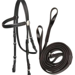 Race Head With Reins - Loop -Riding Horse Apparel Shop 4a7d1b4e 5438 4b80 b415 71dff8fb9f3a 478844d2 cc52 41f0 8b3d 932afaabded1