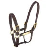 Epsom Deluxe PN Halter -Riding Horse Apparel Shop 544713
