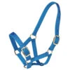 Gymkhana Foal Halter 1 Gymkhana Foal Halter -Riding Horse Apparel Shop 544902