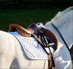 Cotton Half Pad In Trifecta Design -Riding Horse Apparel Shop 7306 white hunter saddle web