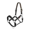 New LeMieux Breakaway Headcollar For Safe And Secure Horse Handling -Riding Horse Apparel Shop 8e05f5c67a6936f67680cb099a020711.image .1200x1200 d77cddf7 3a84 47c9 88d3 bd2c1e13157c