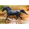 Breyer Traditional Kb Omega Fahim Arabian -Riding Horse Apparel Shop Breyer Traditional Kb Omega Fahim Arabian