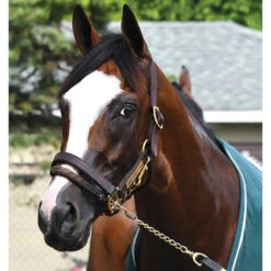 Breyer Traditional Thoroughbred - Tiz The Law -Riding Horse Apparel Shop Breyer Traditional Tiz The Law Thoroughbred 3