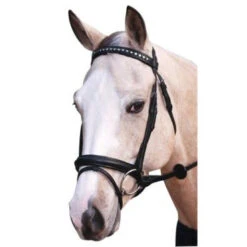 Bridle Hanoverian Stars And Stones Black