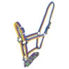 Brite Halter Set 1 Brite Halter Set -Riding Horse Apparel Shop Britehalterroyalpinklime544126