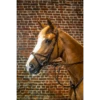 Dy'on X-Fit Bridle Brown Full D Collection -Riding Horse Apparel Shop DYCCCDBR f43dc0ae f737 4b24 ba1d 06bd7061dc7d