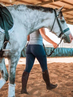 Ladies' Navy Lexington Tights In Earlwood 25 Ladies' Navy Lexington Tights In Earlwood -Riding Horse Apparel Shop Earlwood Lexington Tights Navy Ladies 12