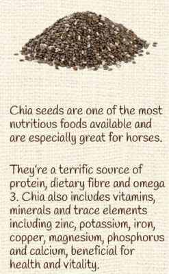 Horse Treat Equine Pure Delights Apple Cinnamon Molasses -Riding Horse Apparel Shop Equine Pure Delights Treat Apple Cinnamon Molasses 6