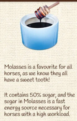 Horse Treat Equine Pure Delights Apple Cinnamon Molasses -Riding Horse Apparel Shop Equine Pure Delights Treat Apple Cinnamon Molasses 8