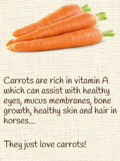 Horse Treat Equine Pure Delights Carrot Mint Turmeric Chia -Riding Horse Apparel Shop Equine Pure Delights Treat Carrot Mint Turmeric Chia 3