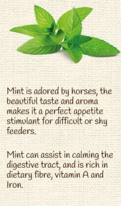 Horse Treat Equine Pure Delights Carrot Mint Turmeric Chia -Riding Horse Apparel Shop Equine Pure Delights Treat Carrot Mint Turmeric Chia 4