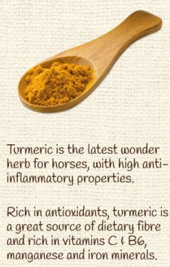 Horse Treat Equine Pure Delights Carrot Mint Turmeric Chia -Riding Horse Apparel Shop Equine Pure Delights Treat Carrot Mint Turmeric Chia 5