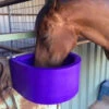 Feed Bin Dee Agboss -Riding Horse Apparel Shop Feed Bin Dee Agboss