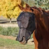 Flyveils By Design Extended Nose Mesh Fly Mask Black -Riding Horse Apparel Shop Flyveils By Design Extended Nose Mesh Fly Mask Black
