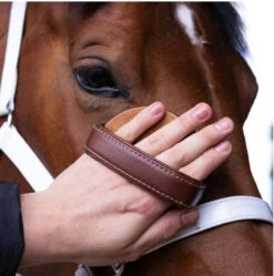 Hairy Pony Brush Face -Riding Horse Apparel Shop Hairy Pony Brush Face 5