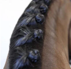 Hairy Pony Mane Sectioning Comb -Riding Horse Apparel Shop Hairy Pony Mane Sectioning Comb 3