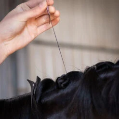 Hairy Pony Plaiting Thread Flat Waxed Small -Riding Horse Apparel Shop Hairy Pony Plaiting Thread Flat Waxed Small 3