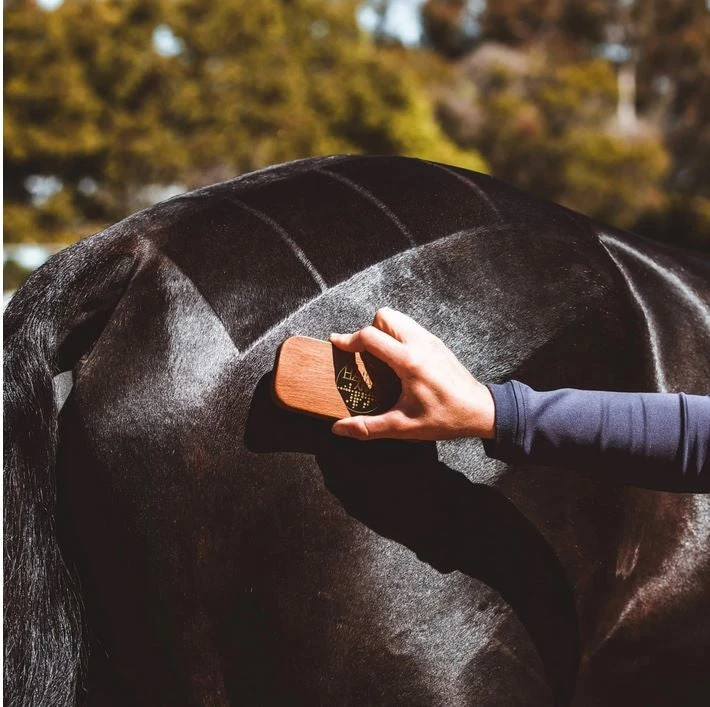 Hairy Pony Quarter Mark Brush 5 Hairy Pony Quarter Mark Brush - Image 3