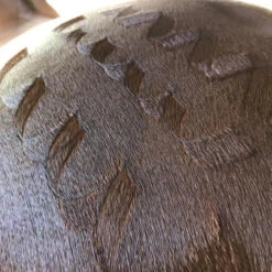 Hairy Pony Quarter Mark Comb -Riding Horse Apparel Shop Hairy Pony Quarter Mark Comb 9