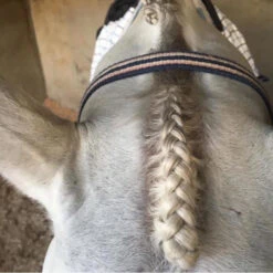 Hairy Pony Scissors Fastening -Riding Horse Apparel Shop Hairy Pony Scissors Fastening 2