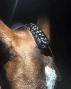 Hairy Pony Scissors Fastening -Riding Horse Apparel Shop Hairy Pony Scissors Fastening 3