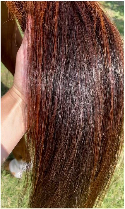 Hairy Pony Silky Serum 4 Hairy Pony Silky Serum - Image 2