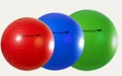 Horse Ball Mega Jolly