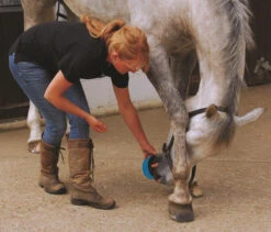 Horslyx Original Mini Vitamin & Mineral Lick 650gm 8 Horslyx Original Mini Vitamin & Mineral Lick 650gm -Riding Horse Apparel Shop Horslyx Original Mini Vitamin Mineral Lick 650gm 2