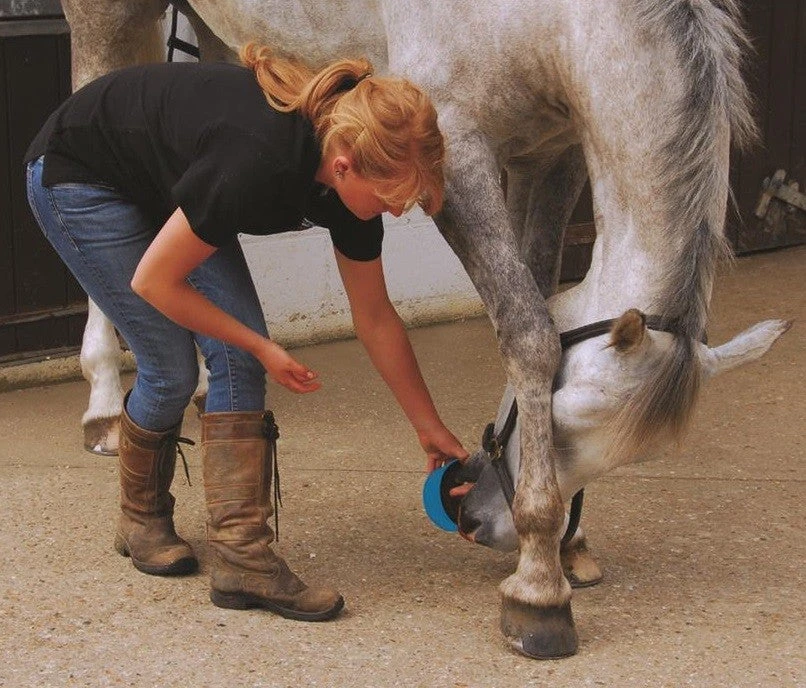 Horslyx Original Mini Vitamin & Mineral Lick 650gm 4 Horslyx Original Mini Vitamin & Mineral Lick 650gm - Image 2