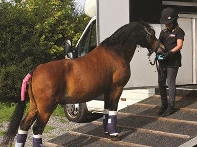 Horslyx Original Mini Vitamin & Mineral Lick 650gm 5 Horslyx Original Mini Vitamin & Mineral Lick 650gm - Image 3