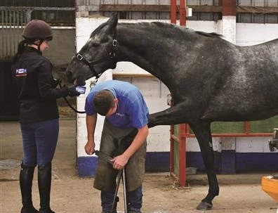 Horslyx Original Mini Vitamin & Mineral Lick 650gm 6 Horslyx Original Mini Vitamin & Mineral Lick 650gm - Image 4