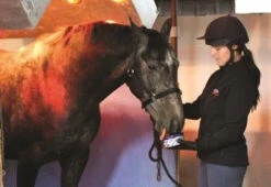 Horslyx Original Mini Vitamin & Mineral Lick 650gm 11 Horslyx Original Mini Vitamin & Mineral Lick 650gm -Riding Horse Apparel Shop Horslyx Original Mini Vitamin Mineral Lick 650gm 5