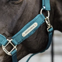 Kentucky Velvet Halter -Riding Horse Apparel Shop KENTUCKYVELEVTHALTER4