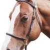 Bridle Led In & Chain Lead Leather Black -Riding Horse Apparel Shop Led In Bridle Chain Lead Leather Black