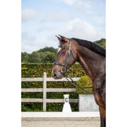 Dy'on New English Collection - Matte Medium Noseband Bridle With Flash - Black Full