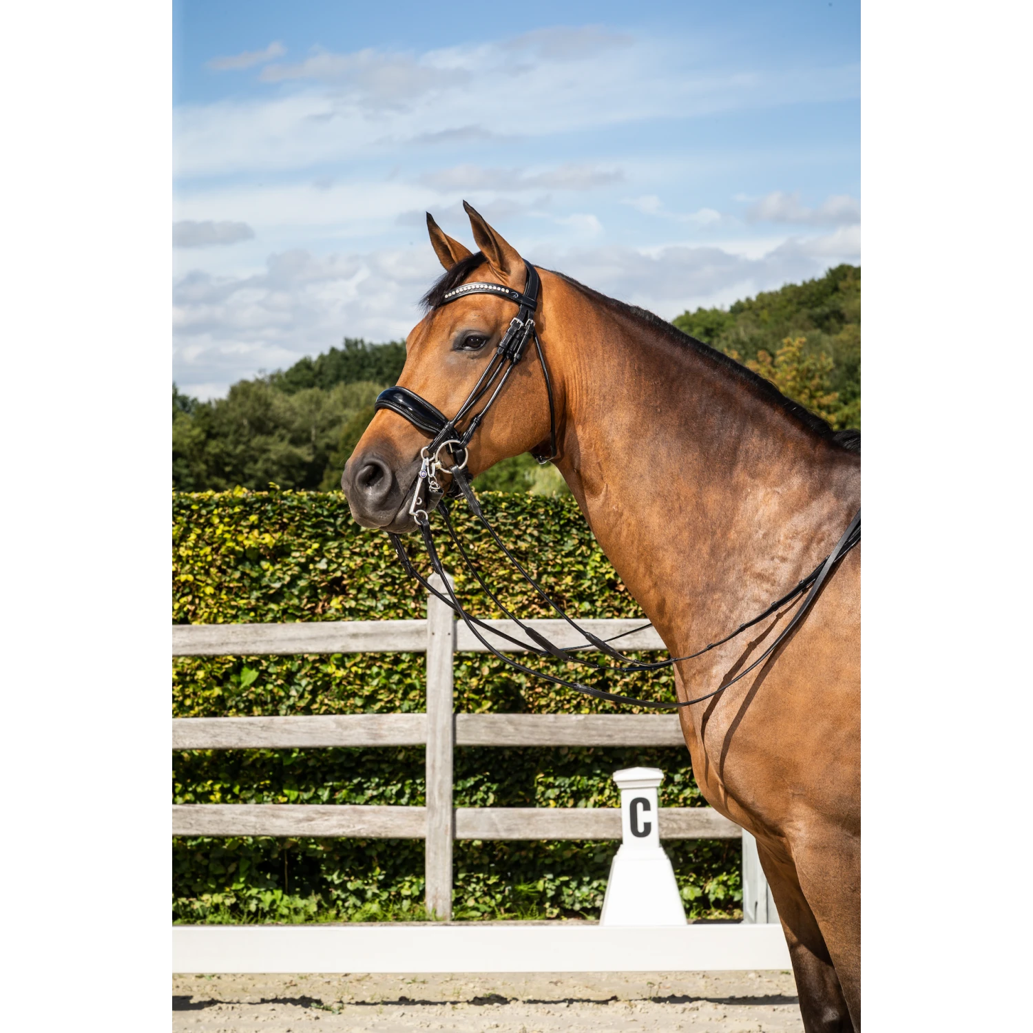 Dy'on Round Leather Patent Large Crank Noseband Double Bridle Black Full 3 Dy'on Round Leather Patent Large Crank Noseband Double Bridle Black Full