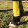 Bandage Wrap Essential Ranvet Extra Large -Riding Horse Apparel Shop Ranvet Essential Wrap Bandage Extra Large