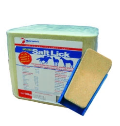 Salt Block Iodised Ranvet 2kg