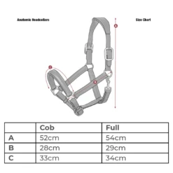 Leather Stitch Headcollar By LeMieux -Riding Horse Apparel Shop Screenshot 20220301 124416 fe784b72 77ff 40c7 8f61 fa9517e103be