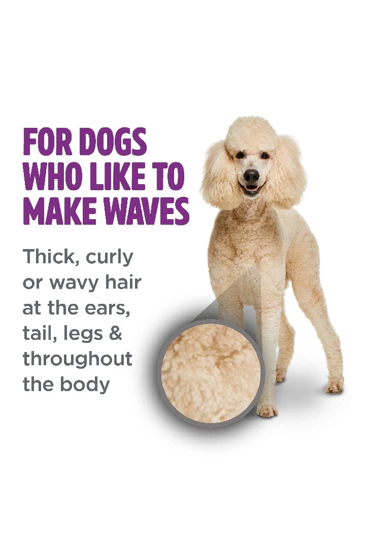 Tropiclean Perfect Fur Curly & Wavy Coat Shampoo 473ml 6 Tropiclean Perfect Fur Curly & Wavy Coat Shampoo 473ml - Image 4