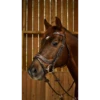 Working By Dy'on - Working Fit Bridle - Brown Full -Riding Horse Apparel Shop WOAPHDBR 5c7efc89 521f 47d5 970f a4739f364ff7