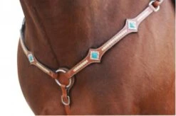 Breastplate Western Stones Full