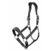 Leather Stitch Headcollar By LeMieux -Riding Horse Apparel Shop df1b05672385365fdbe50f624963f514.image .1200x1200 b4bc1e5a f8fa 43c4 88ba b7b5455ac549